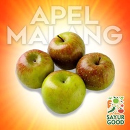 Apel Malang / Buah Apel Malang Segar / 1 Kg (Buah Segar)