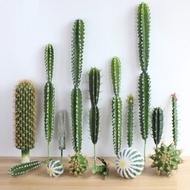 Simulation Cactus Desert Plant Cactus Cactus Pillar Nordic Style Classic Succulents Shop Decoration 