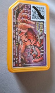 Pokemon card 5星 固拉多