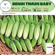 5 biji benih TIMUN BABY F1 hybrid/ timun baby pokok lasak/ baby cucumber seeds