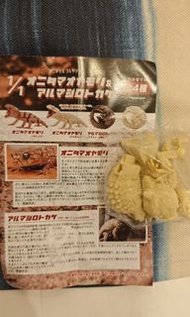 蜥蜴守宮扭蛋