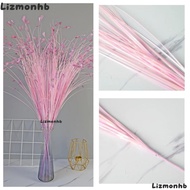 LIZMOLI 5pcs/Pack Peacock Grass, Feather Texture 20 Heads Artificial Grass, Bohemian 80cm Multicolor
