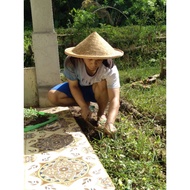 Farmer's hat, satuy bamboo fishing hat (Farmer's Hat)