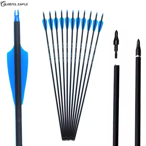 28/30/31 Inch Archery Carbon Arrows Hunting Spine 500 with Replace Arrowheads for Compound Recurve B