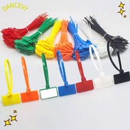 DANCEVY 100pcs Cable Tag Strapping Tape Tag Labels Self-locking Zip Ties Mesh Wire Marker Colorful T