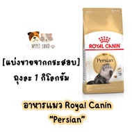 [แบ่งขายจากกระสอบ] อาหารแมว Royal Canin “PERSIAN” ถุงละ 1 กิโลกรัม