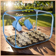 [New] Mycology Mushroom Grow Kit Mushroom Grow Bag Mycology Fume Hood Propagation Station for Mycolo