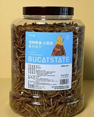 倉鼠 熊仔鼠 豪華麵包蟲
