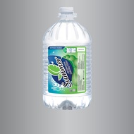 Summer Drinking Water 2X5500ML