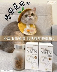 日本Prime S - 寵物專用NMN抗老修復護眼強骨補充膠囊 (鰹魚味)📢📢可於荔枝角安泰取貨❤️❤️