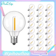 [HoME&life] For Off-Grid Solar String Light Compatible 25PCS Low Voltage G40 DC12V 1W E12 Plastic Le