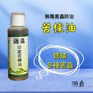 【苦楝油】螞蟻/粉介殼蟲/蚜蟲：居家園藝必備「無毒」防治害蟲