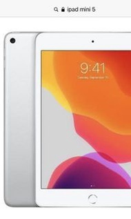 iPad mini 5 銀色 64g