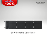EcoFlow 60W Solar Panel