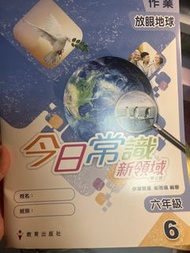 今日常識新領域 六年級 作業
