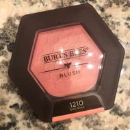 Burt’s Bees Blush /Burts Bees Blush
