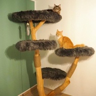 Pohon Kucing Besar Dan Stabil Dengan Platform Besar Untuk Kucing Besar