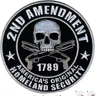 2nd Second Amendment Right to Keep and Bear Arms Gun Freedom 1789 Skull Crossbones Republican Origin