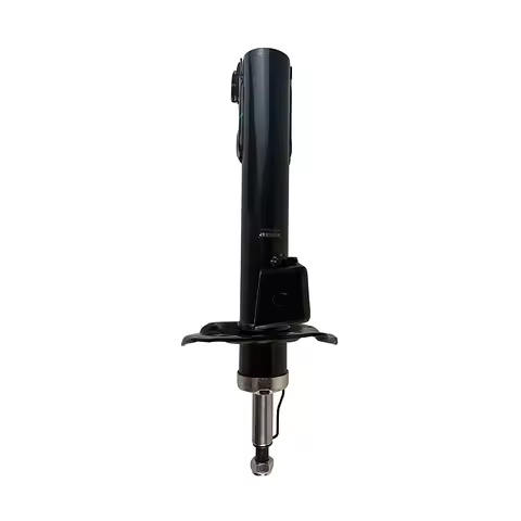 Shock Absorber A1693201730 1693201130 Fit For MERCEDES-BENZ Grade B B180 CDI B200 B200 CDI B150 B160