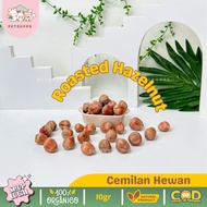 Hamster chew toys 10gr | Hazelnut in shell | Hamster Snacks | Gnawing stone