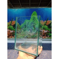 Solitaire glass Aquarium for betta fish and gepy 15x15x20