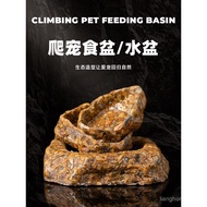 Reptile Feeding Bowl No Paint Feeding Dish for Gecko Bearded Dragon Hamster Breeding Bread Bugs Ecol