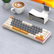 Bàn Phím Chơi Game Có Dây Leiqi K68 68 Phím Nhỏ Gọn Dành Cho Máy Tính Xách Tay Bàn Phím Máy Tính Xác