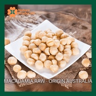 Nature Produced Macadamia Raw Premium – Macadamia Nuts from Australia | No Salt & Additional