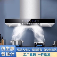 Factory Kitchen Style Large Household Suction Wholesale Range Hood Top Suction Kitchen Range Hood Ra