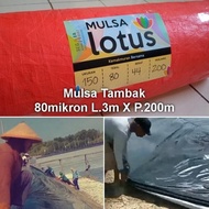 plastik mulsa tambak tebal 80 mikron hitam perak plastik tambak