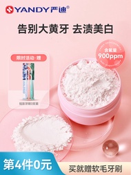 YANDY แปรงฟันขาว 50 กรัม ป้องกันฟันผุ ดูแลช่องปากด้วยแบคทีเรียดีๆ กำจัดคราบสีเหลือง ฟอกฟัน ป้องกันกล