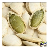 KUACI PUTIH BY IKKI FOOD