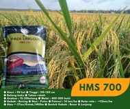 Benih padi HMS 700 kemasan premium 1kg