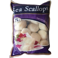 Wild Caught Sea Scallop 454G