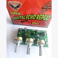 Echo 1mic RCM Amplifier Voice Amplifier