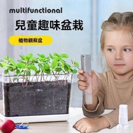 雜乜鋪 - 幼兒園親子活動：探索植物奧秘－兒童親手種植，觀察根系奇妙生長。選用長方形透明迷你花盆，打造專屬種子盆栽，直覺見證生命萌芽，寓教於樂，培養兒童觀察力與自然探索興趣。