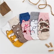 Korean Socks - Animal Dog Pig Panda Socks Ankle - Iconic Socks