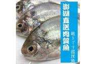 澎湖肉質魚 300g±10%