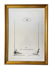 Photo Frame Size 4R / 5R / 6R / 8R / A4 / 11R / A3 - Gold Color(1pc)