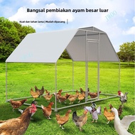 Reban Ayam Luaran Sangkar Arnab Sangkar Merpati Ayam Sangkar Kalis Hujan Mudah Disediakan Rumah Ayam