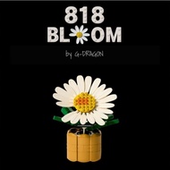 G-DRAGON  Oxford x Peaceminusone 818 Bloom