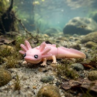 Axolotl Articulation Toy | Article Axolotl 3D Printing | Flexible Axolotl Toy Can Be Bended and Move