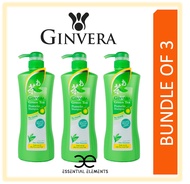 GINVERA [BUNDLE OF 3] OILY GREEN TEA SHAMPOO 750g Ginseng|Natural Ingredients|Pomelo