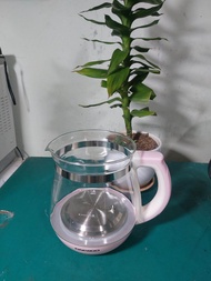 Bán Ấm Đun Trà Daewoo DEK-MA980( không nắp )Màu hồng rất đẹp.Chất liệu INox 304 tốt cho sức khỏe- P