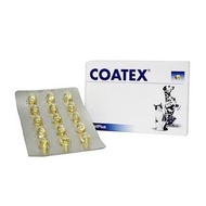 Coatex 🔥ล็อตใหม่ Exp.1/8/2025 วิตามิน บำรุงขนและผิวหนัง สุนัข แมว แคปซูล VetPlus Supplement (แบ่งขาย 15 แคปซูล)