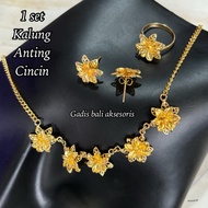 Alpaca canary set alpaca accessories/