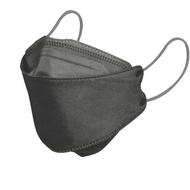 韓式4D醫療口罩 玄鐵灰10片裝