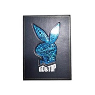 GD&TOP 專輯 藍兔
