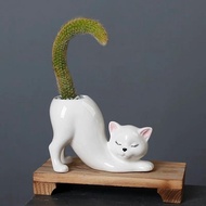 🔥Taiwan Hot Sale/Free Shipping🔥Cute Ceramic Cat Flowerpot Balcony Cute Cartoon Animal Ceramic Succul