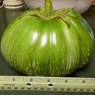 เมล็ดพันธุ์ มะเขือยักษ์ กัมพูชา (Combodia Giant Eggplant Seed) บรรจุ 15 เมล็ด คุณภาพดี ราคาถูก ของแท